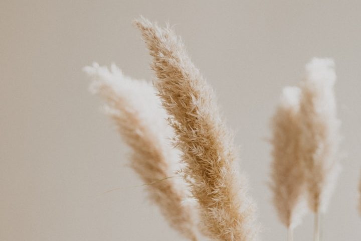 Geschützter Rahmen für Paartherapie und Beratung